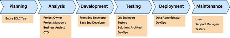 Software development life cycle chart as per the professional requirements 